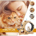 Cat Wheel 6-in-1 Cat Fitness Wheel