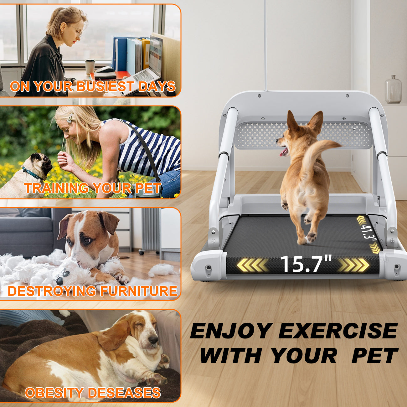 New Quiet Smart Pet Treadmill, Adjustable Speed, Perfect For Small-Medium Dogs