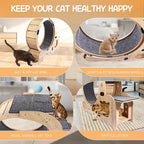 Cat Wheel 6-in-1 Cat Fitness Wheel